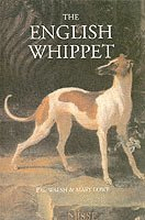 The English Whippet