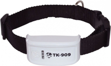 Winnes GPS TK-909