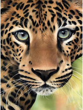 Malen nach Zahlen - Leopard grüne Augen, 40x50cm / Ohne Rahmen / 24 Farben (Einfach)