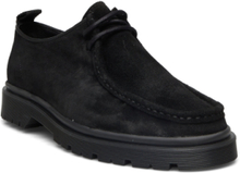 Alain Desert Boots Snøresko Black Playboy Footwear