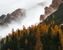 Malen nach Zahlen - Herbst im Wald in den Alpen, ohne Rahmen
