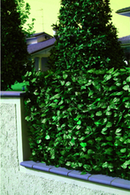 Siepe finta artificiale in PVC verde con foglie Lauro e rete ombreggiante 1 x 3