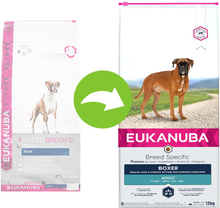 Eukanuba Adult Breed Specific Boxer - Sparpaket: 2 x 12 kg