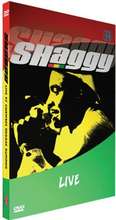 Shaggy: Live At Chiemsee Festival