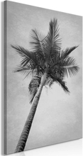 Lærredstryk High Palm Tree (1 del)