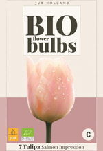 Tulpe Salmon Impression - Bio