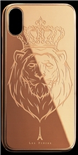Les Fréres Rosé Lion iPhone Case