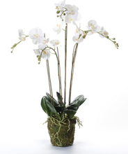 Emerald Kunstig orkidé med mose hvit 90 cm 20.355
