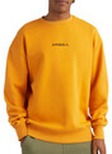 O'neill Sweatshirt 2750048-17016