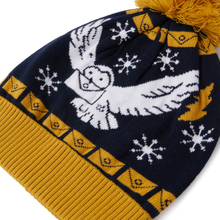 Harry Potter Owl Mail Christmas Beanie Navy