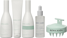 Björn Axén Ultimate Scalp Kit Shampoo250 ml+ Detox Scrub 150 ml+Conditioner 250 ml+ Hair & Scalp Serum 60 ml+Scalp Massage Brush