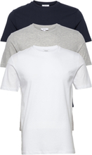 Bless 3 Pack T-shirts Short-sleeved Multi/mønstret Reiss*Betinget Tilbud