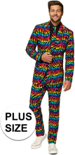 Grote maten heren verkleed pak/kostuum zebra regenboog print